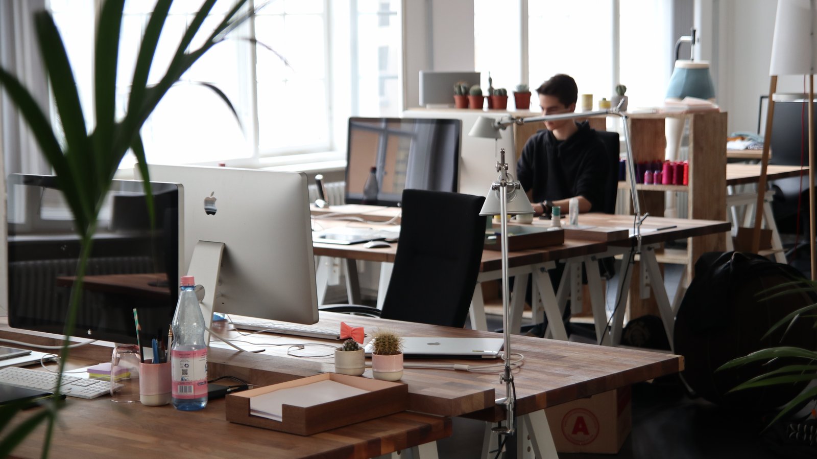 Mental Health for Entrepreneurs