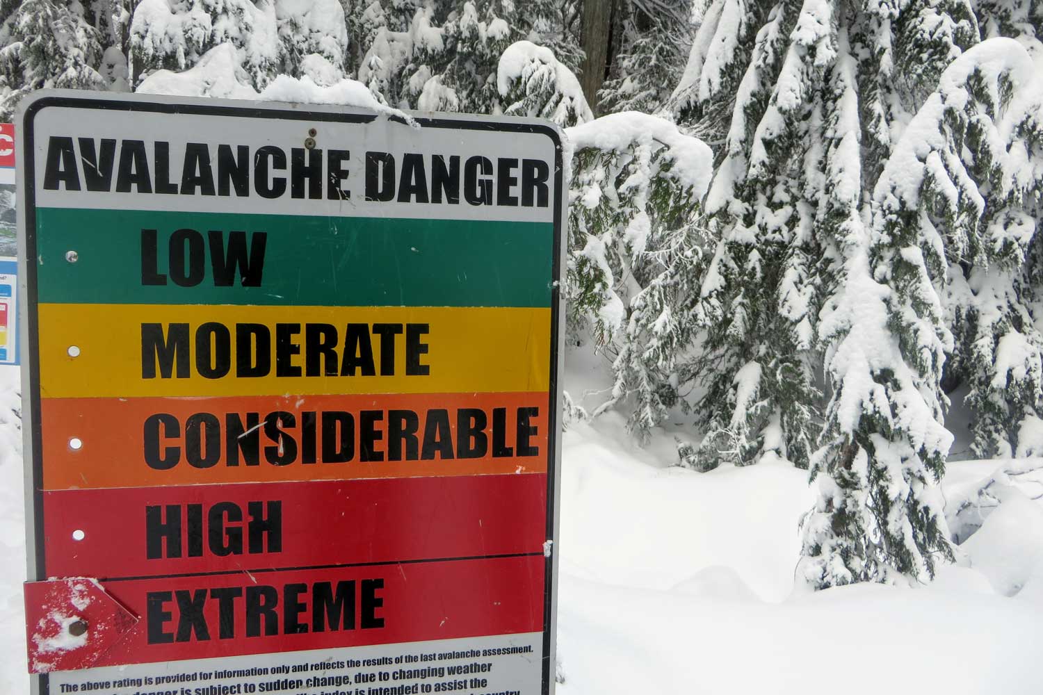 Combining Artificial Intelligence with Human Expertise to Predict Avalanche Danger Levels