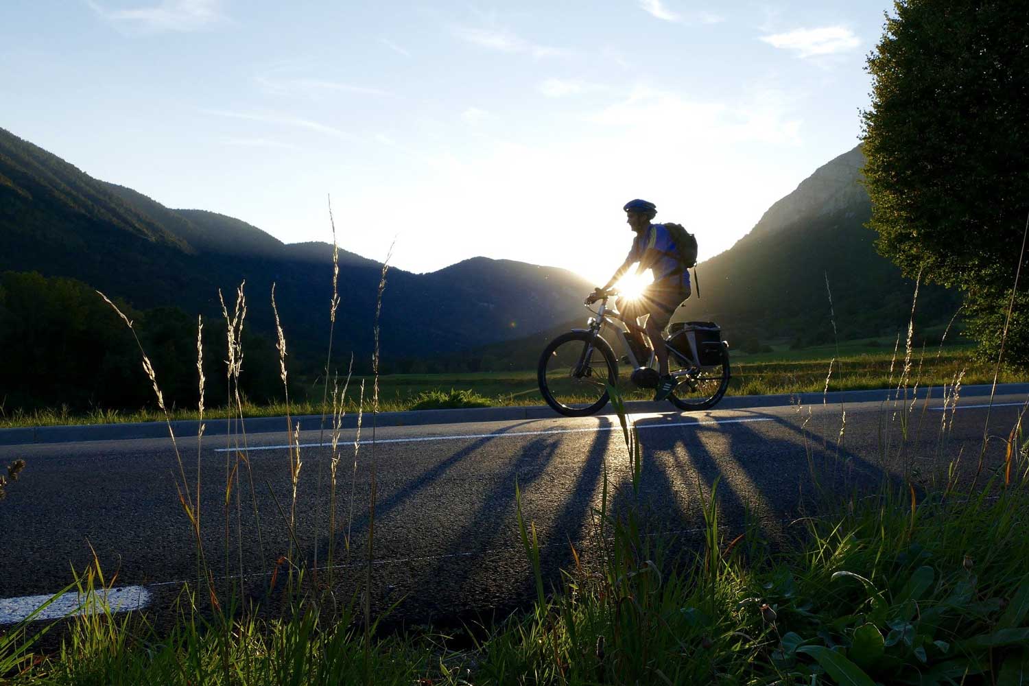 Bike Delivery Startup