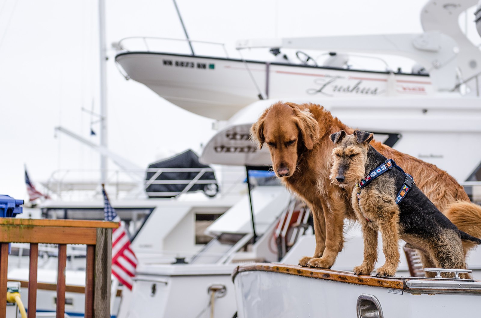 Your Startup is a Boat