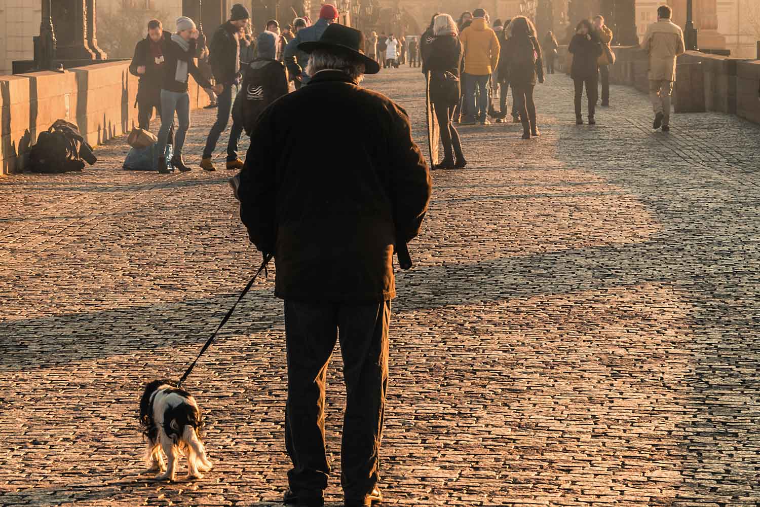 Wag - an AI dog walking app