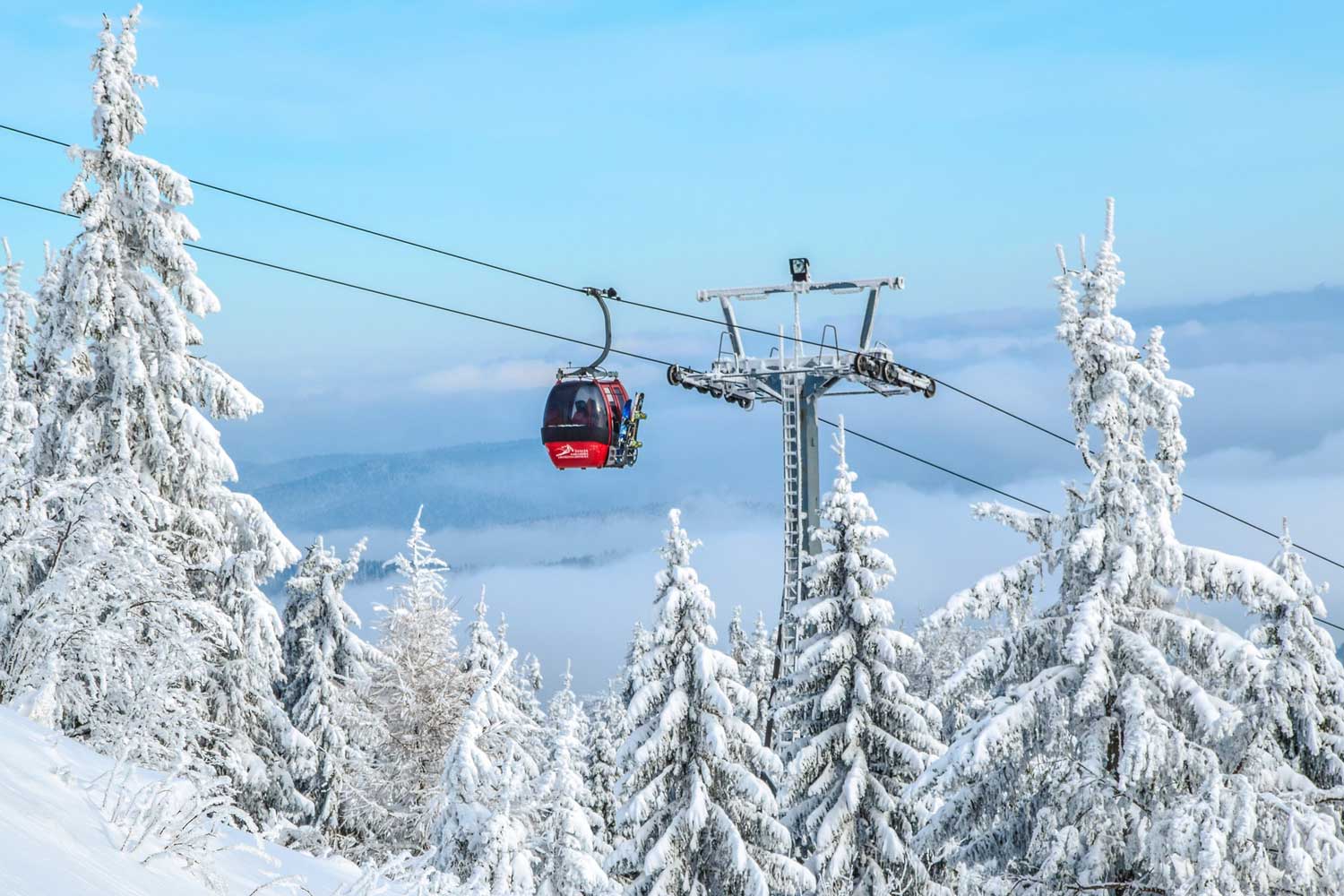 Carv Ski Startup