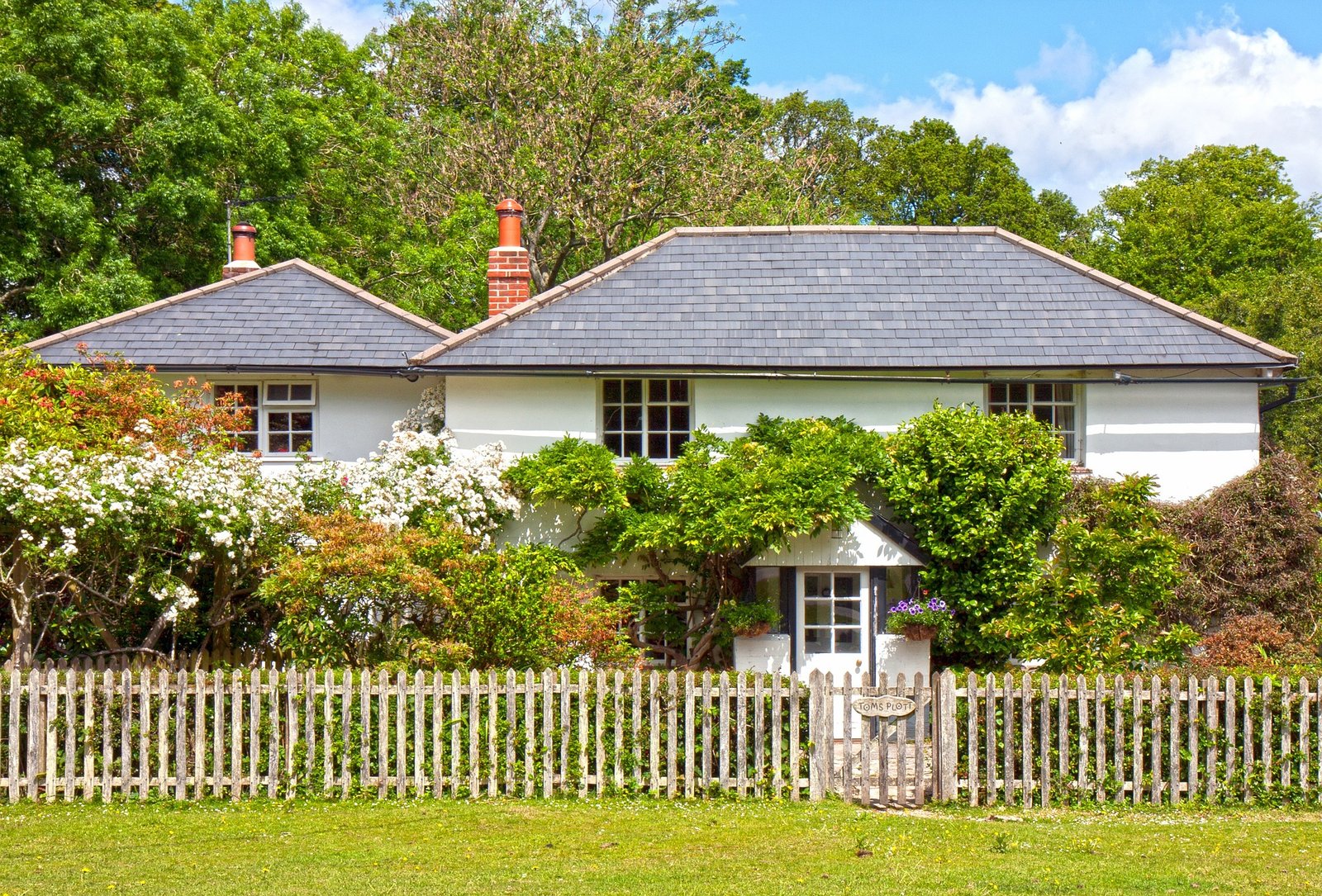 Property Startup