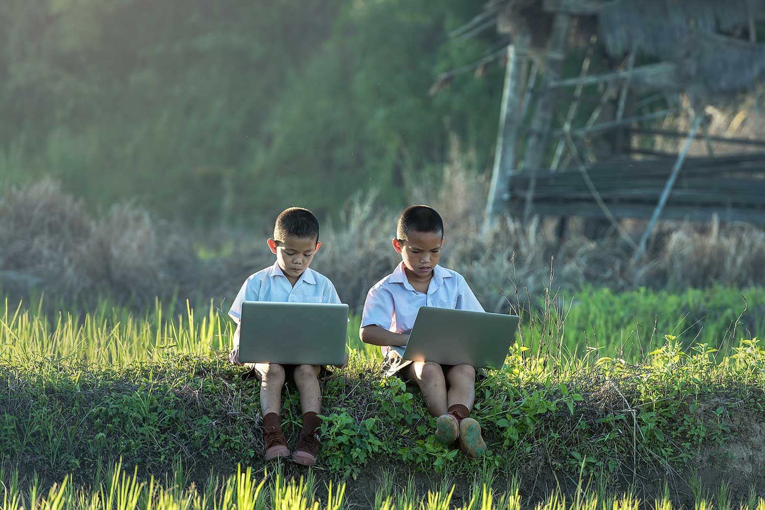 Artificial Intelligence Training : Different ways to learn