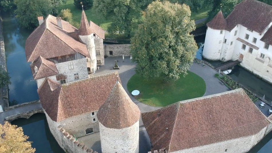 Drone Survey Startup